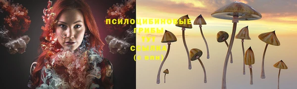 шишки Беслан