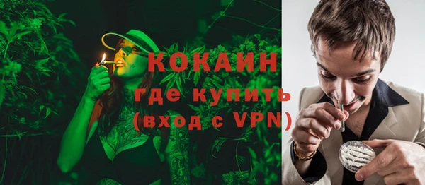 шишки Беслан