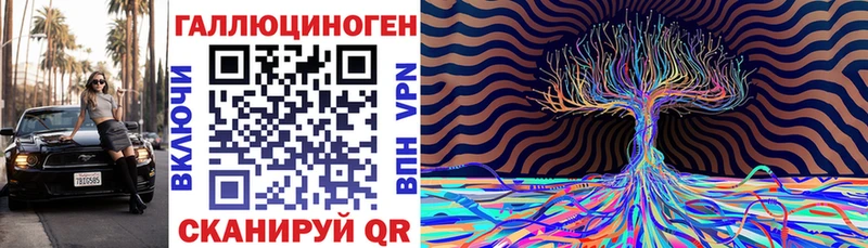 купить наркоту  маркетплейс какой сайт  Псилоцибиновые грибы Cubensis  Александровск-Сахалинский 