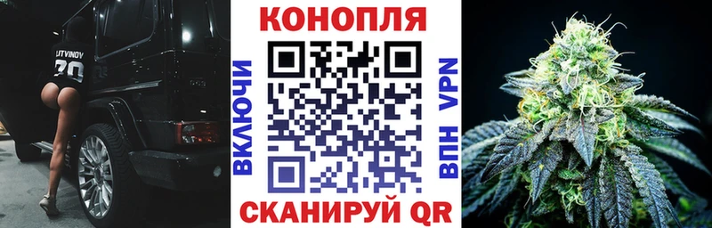 дарнет шоп  Александровск-Сахалинский  МАРИХУАНА White Widow 